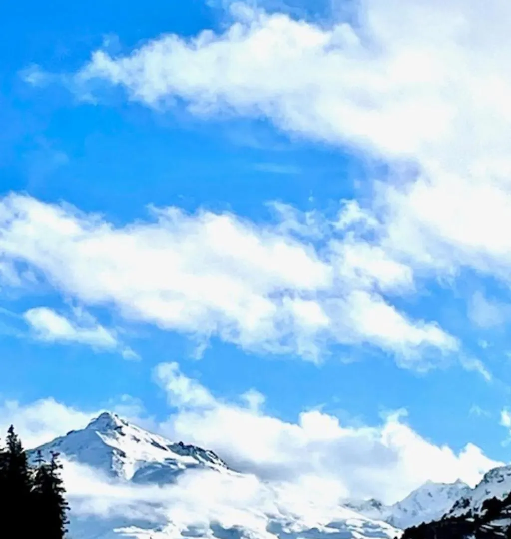 Meribel Chalet Merveilleux Les Allues